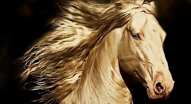 Naturaleza Pregunta Trivia: ¿Qué raza de caballo es el que muestra la imagen?