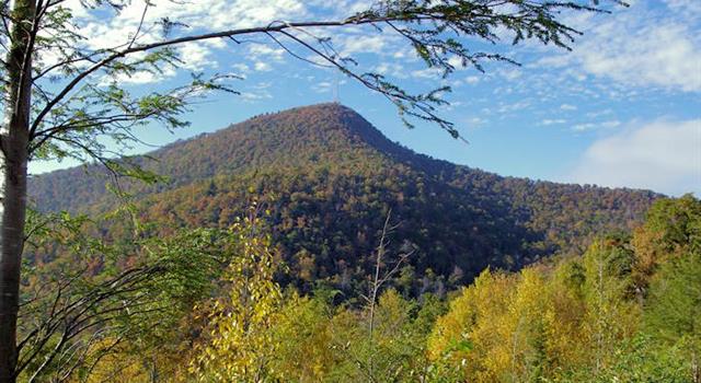 Geography Trivia Question: Where in the USA is Pisgah National Forest located?
