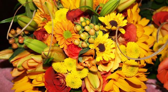 History Trivia Question: Which flower is responsible for bursting an economy?