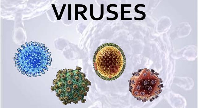 Science Trivia Question: Which viral disease is caused by the Epstein-Barr virus?