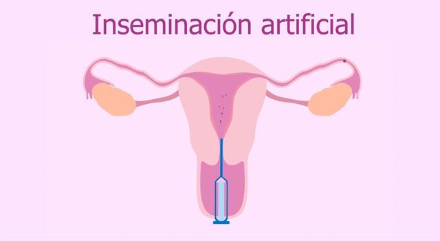 Сiencia Pregunta Trivia: ¿Cuándo se realizó la primera inseminación artificial en humanos con éxito?