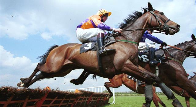 Sport Trivia Question: In the Grand National horse race, how many of the fences are jumped only once by a horse completing the course?