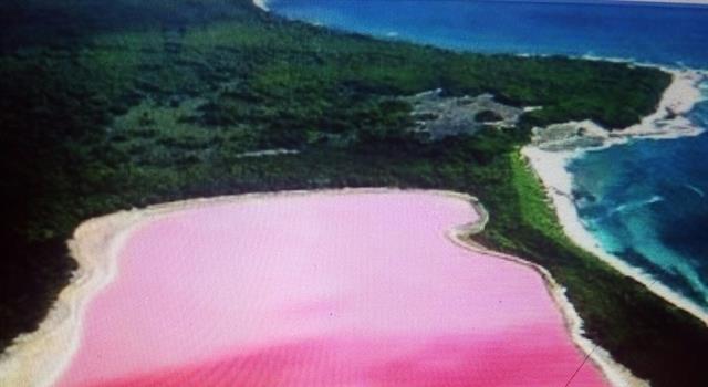 Geography Trivia Question: What makes the Pink Lake in Australia pink?