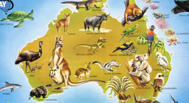 Naturaleza Pregunta Trivia: ¿Cuál de los siguientes animales es un marsupial?
