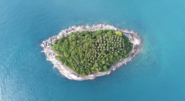 Сiencia Pregunta Trivia: ¿Dónde se ubican los islotes de Langerhans?