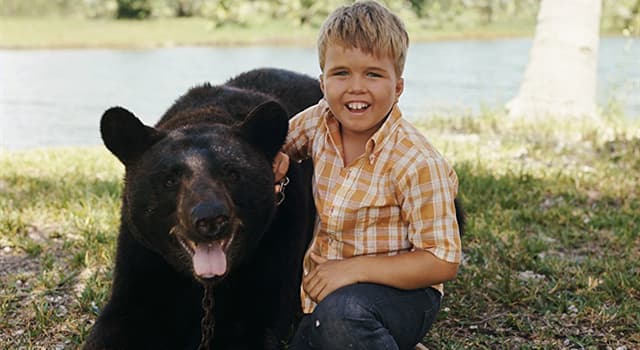 Movies & TV Trivia Question: On the wildlife U.S. TV adventure series "Gentle Ben", where does Ben (the bear) and his human family live?