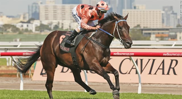 Sport Trivia Question: Retired Australian thoroughbred racehorse Black Caviar was undefeated in how many races?