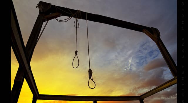 History Trivia Question: Who was the official person given the task to carry out the last public hanging in the United States?