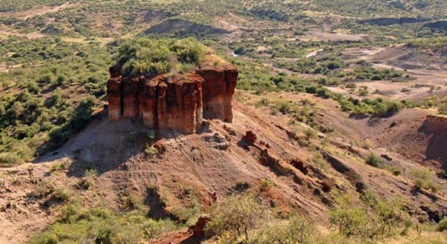 Naturaleza Pregunta Trivia: ¿Cuál es la importancia de la Garganta Olduvai?