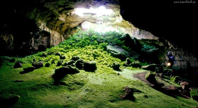 Naturaleza Pregunta Trivia: ¿En qué país está ubicada la cueva Hang Son Doong?