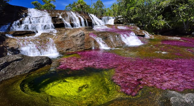 Geografía Pregunta Trivia: ¿En qué país sudamericano se encuentra el río conocido como "arco iris líquido"?
