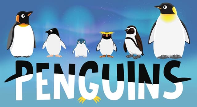 Nature Trivia Question: How many extant species of penguin are there?
