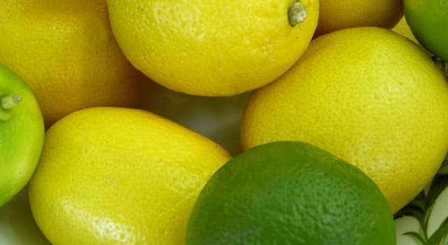 Naturaleza Pregunta Trivia: ¿Las limas son los limones recogidos temprano?