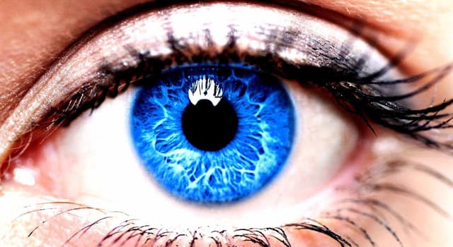 Sociedad Pregunta Trivia: ¿Qué porcentaje de la población mundial tiene ojos azules?