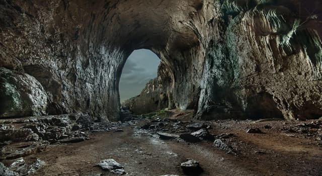 Historia Pregunta Trivia: ¿Qué se encontró en la cueva Lascaux?