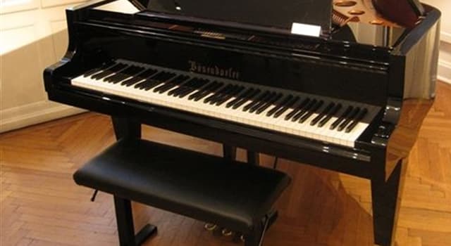 Culture Question: Sous quelle appellation a-t-on fait référence pour la première fois au piano ?