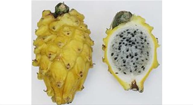 Naturaleza Pregunta Trivia: ¿Cuál es el nombre de las frutas de la imagen?
