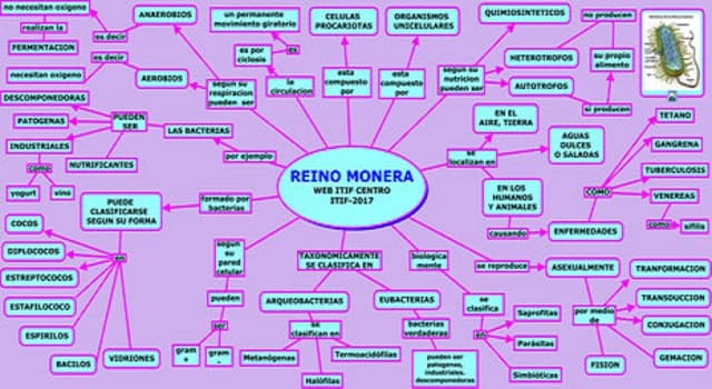 Сiencia Pregunta Trivia: ¿Qué es el reino monera?