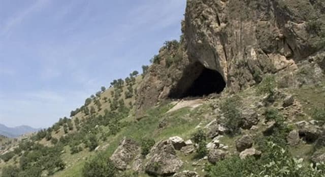 Сiencia Pregunta Trivia: ¿Qué se encontró en la Cueva de Shanidar entre 1957 y 1961?