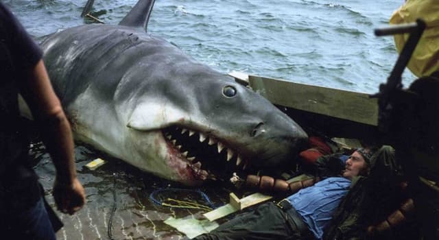 Movies & TV Trivia Question: What was the name given to the mechanical sharks used in the 1975 hit movie "Jaws"?