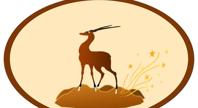 Nature Question: Lequel des types d'antilope suivants est originaire d'Asie ?