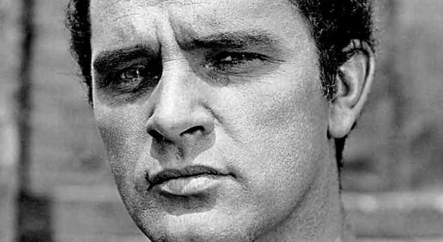 Movies & TV Trivia Question: For which film did Richard Burton win a 1968 Bambi Award?