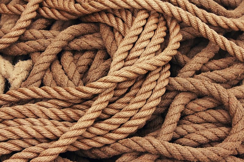 Суспільство Запитання-цікавинка: Як називається мотузка з петлею на кінці?