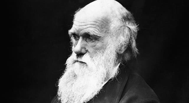 Cultura Pregunta Trivia: ¿Por qué Charles Darwin abandonó sus estudios de medicina?