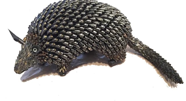Naturaleza Pregunta Trivia: ¿Qué animal tiene un caparazón compuesto por un "espaldar" y un "plastrón"?