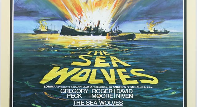 Movies & TV Trivia Question: Which book was the 1980 film, 'The Sea Wolves' based on?