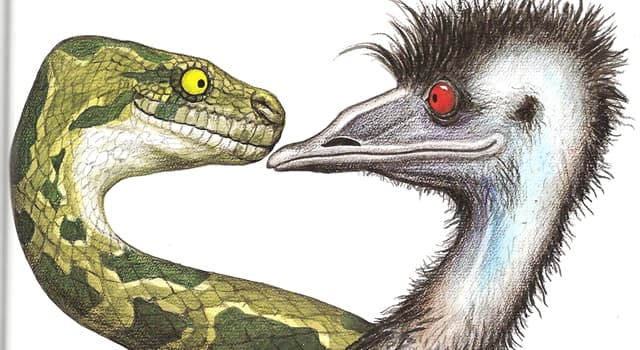 Culture Trivia Question: Who created the children's storybook character, 'Edward the Emu'?