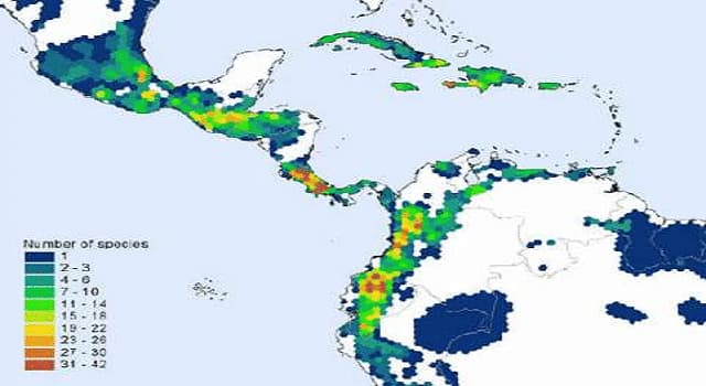 Geografía Pregunta Trivia: ¿Cómo se le conoce a la ecozona de la Tierra que abarca Sudamérica, América Central, Caribe, Florida del Sur y la zona sur de México?