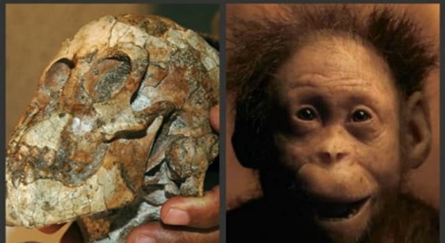 Сiencia Pregunta Trivia: ¿En qué año descubrieron los restos fósiles de "Selam" la niña de tres años de edad y una antigüedad de 3.3 millones de años?