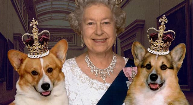 History Trivia Question: Given to her as a present on her eighteenth birthday, what was the name of Elizabeth II's first corgi?