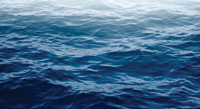 Cronologia Domande: Nel linguaggio nautico, cos'è un veliero?
