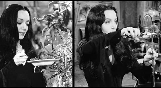 Morticia cutting roses addams family 