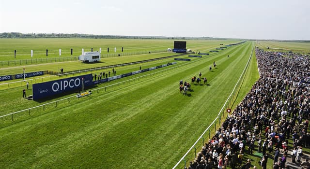 Sport Trivia Question: The classic races the 1,000 and 2,000 Guineas are held at which racecourse?