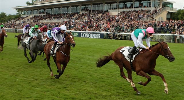 Sport Trivia Question: The Prix du Jockey-Club is held at which race course?