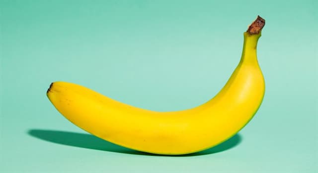 Nature Trivia Question: What category of fruit are bananas?