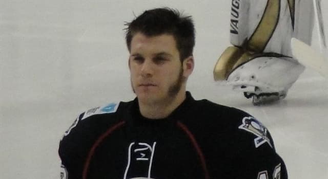 Sport Trivia Question: Which North American ice hockey team did Brett Sterling finish his playing career with?
