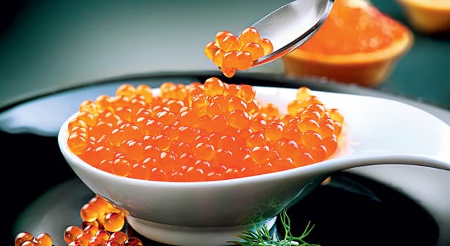 Natur Wissensfrage: Welcher Fisch liefert den teuersten Kaviar der Welt?