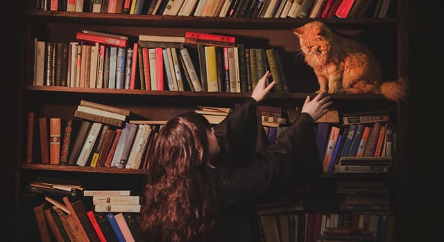 Cultuur Trivia Vraag: Wat is de naam van Hermelien's kat in de Harry Potter boekenreeks?