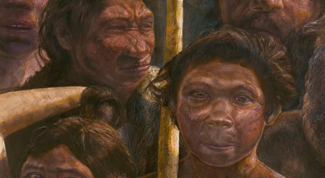Історія Запитання-цікавинка: На якому континенті були знайдені останки найдавніших видів роду Homo?