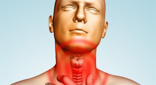 Bilim Trivia Sorusu: Guatr hangi bezin iltihaplanmasıdır?