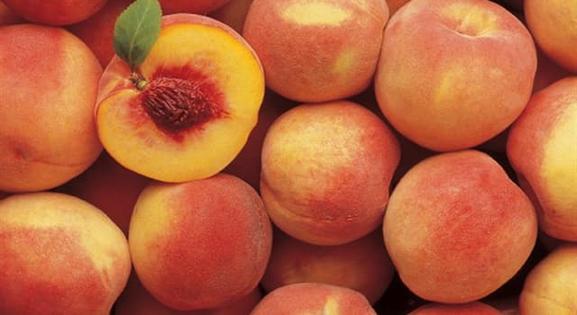 Geography Trivia Question: Which U.S. State is known as the Peach State?