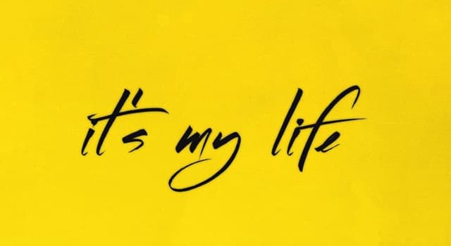 Kultur Wissensfrage: Von wem wurde 2000 das Lied "It's My Life" veröffentlicht?