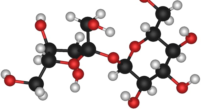 Wetenschap Trivia Vraag: Welk type deeltje wordt gevormd als twee of meer atomen chemisch aan elkaar zijn gebonden?