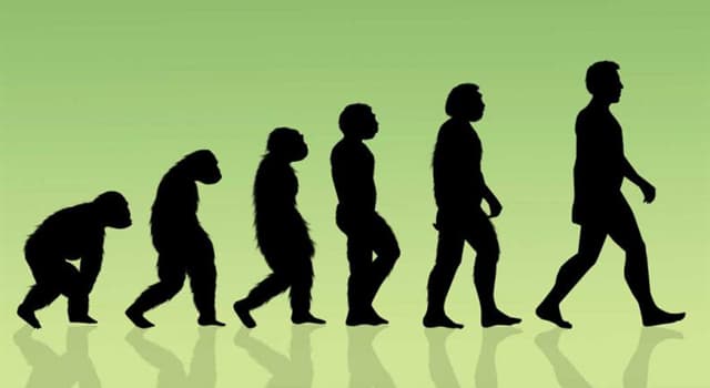 Сiencia Pregunta Trivia: ¿Cuál de los siguientes Homíninos es antepasado directo de nuestra especie?