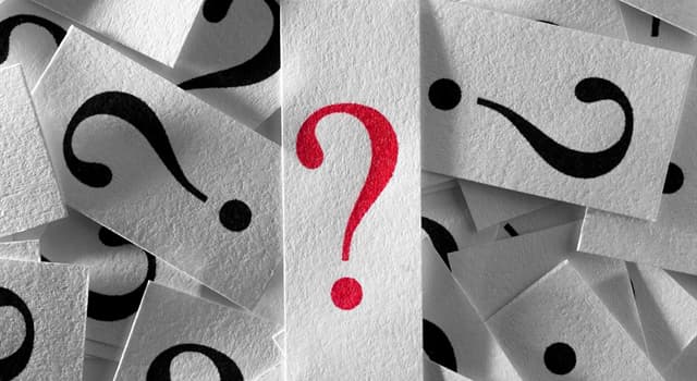 Sociedad Pregunta Trivia: ¿Qué son los taquínidos?
