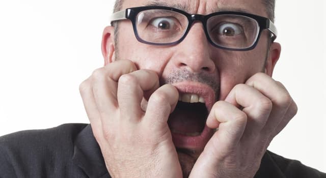 Сiencia Pregunta Trivia: ¿Qué es la Tacofobia?